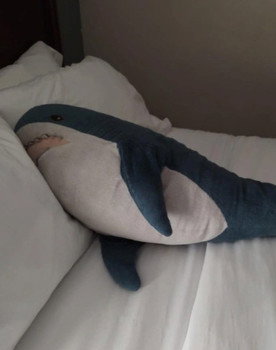 Brutus Shark