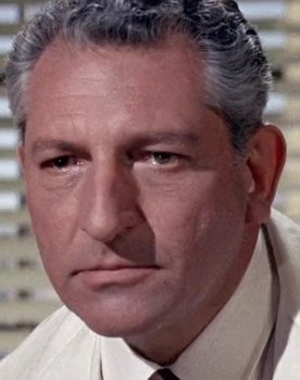 Harold J. Stone as Art Leavitt, TV sportscaster