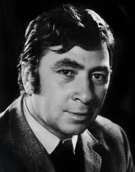 Tekin Akmansoy