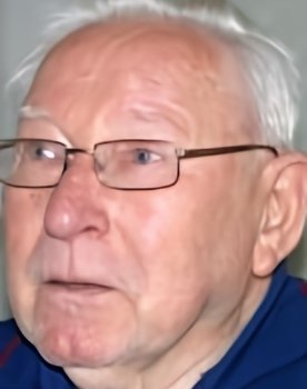 András Fekete as Sofőr