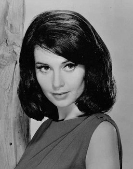 Anjanette Comer Photo
