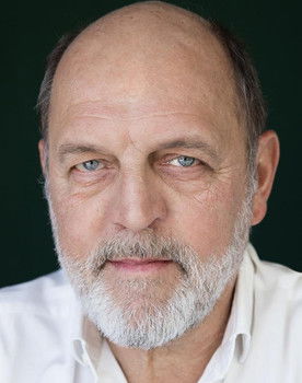 José Wallenstein as Zé Avelino Videira