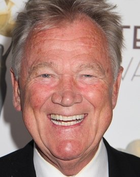 Bo Svenson as Bill