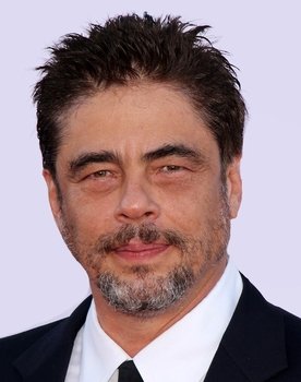 Benicio del Toro as Fenster