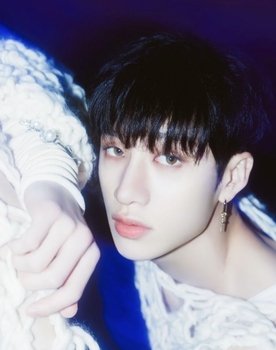 Bang Chan as Himself