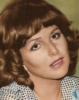 Irene Ravache as Inês