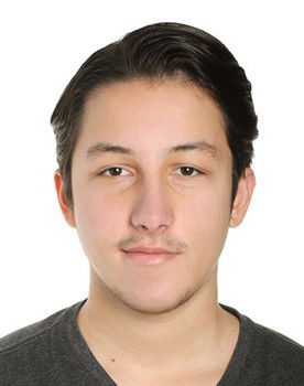 Emir Özkardeş as Link