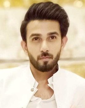 Ali Ansari