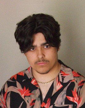 Harry Rushton as Frankie 'Fozzie' Arabollo
