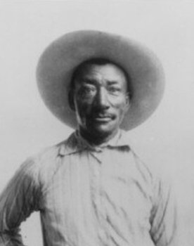 Bill Pickett as Bill