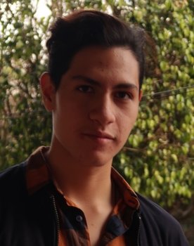 Jordan Abarca as Reportero