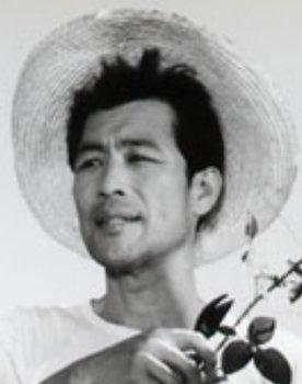 The Korean Instrument with 12 Strings