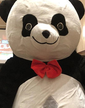 Andreza Giant Panda