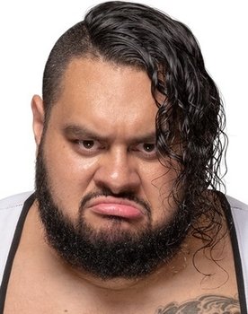 WWE Elimination Chamber 2023