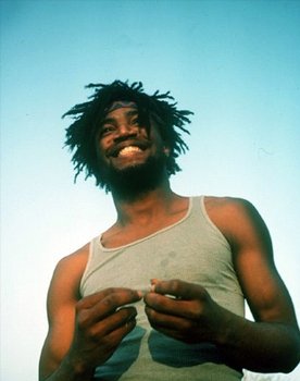 Tyrone Downie as Self