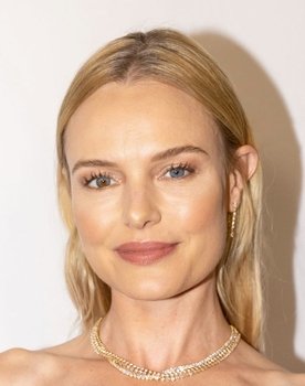Kate Bosworth as Detective