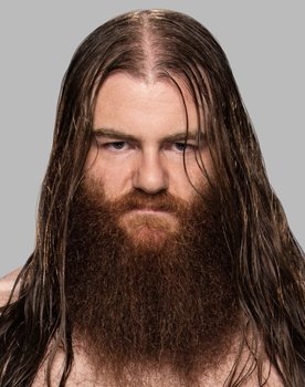 WWE WrestleMania 33
