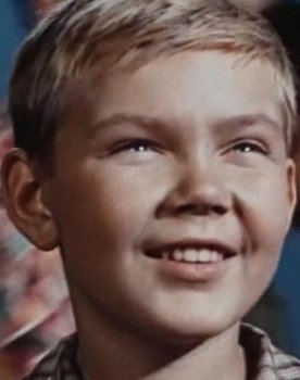 Andrey Veselovskiy as Vovka Sanonov