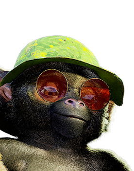 Kev as le saïmiri 2