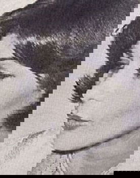 Shahrzad