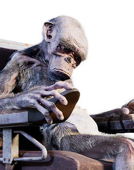 Eugène as le chimpanzé