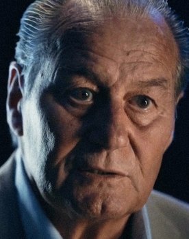 Huub Stevens