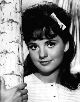 Dawn Wells Photo