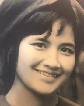 Thanh Tú as Hương Giang