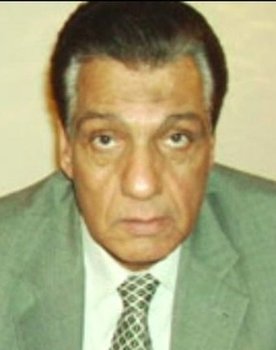 Ahmed Abdel Wareth as Fathi Salem