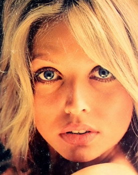 Susan Shaw