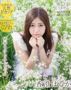 香澄遥，香澄はるか as 