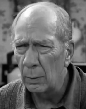 David Byrd as Shapiro