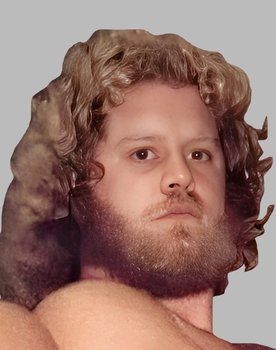 The Best of the WWF: volume 14
