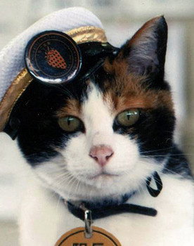 Tama