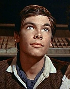 Hal Stalmaster