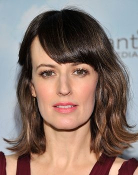 Rosemarie DeWitt Photo