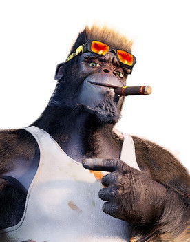 Moussa-K as le gorille