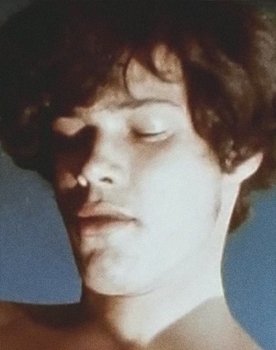 Wren Carmichael