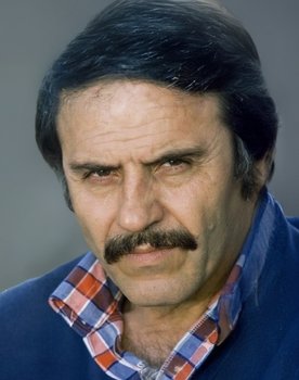 Yusuf Çağatay as Disk Çalışanı