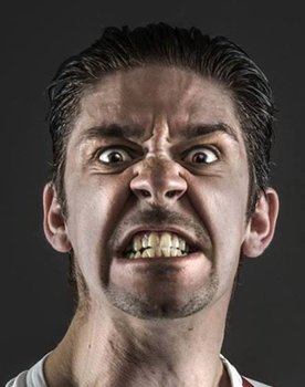 Vincenzo Coccotti as Vincenzo Coccotti