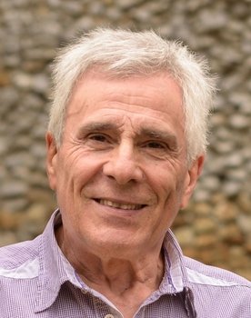 Gojko Mitić as Pablo Calvo