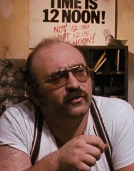 Robert Vogel as Hotel Manager