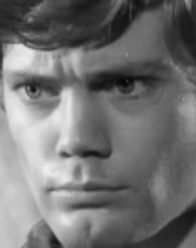 Benjamin Lev as Aldo Contini