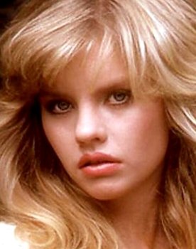 Playboy Wet and Wild: The Complete Collection