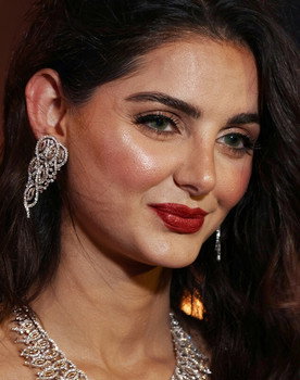Mahlagha Jaberi as The Lead Detective