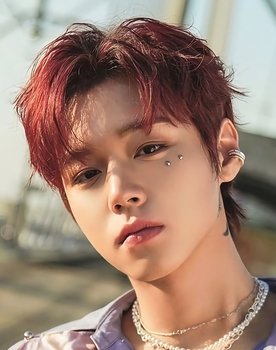 Park Ji-hoon as Himself