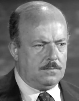 Hüseyin Kutman as 