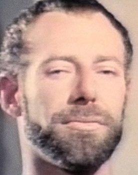 Rip Colt's Sex Rated Home Movies 2