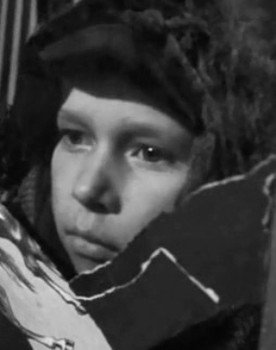 Sasha Lavkov