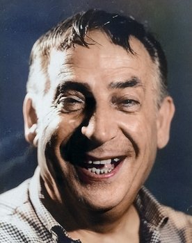 Avni Dilligil as 